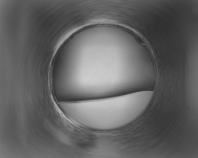 X0000085811295200703161018