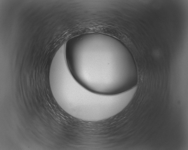 X0000085811298200703161018
