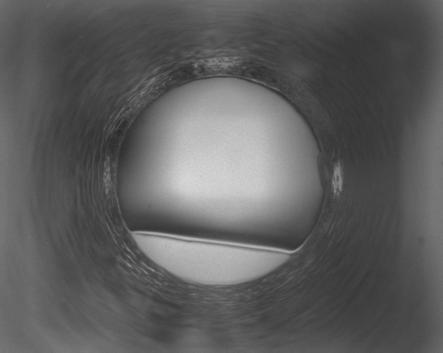 X0000085811299200703161018