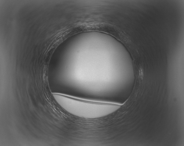 X0000085811300200703161018
