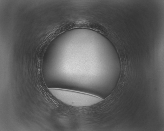X0000085811301200703161018