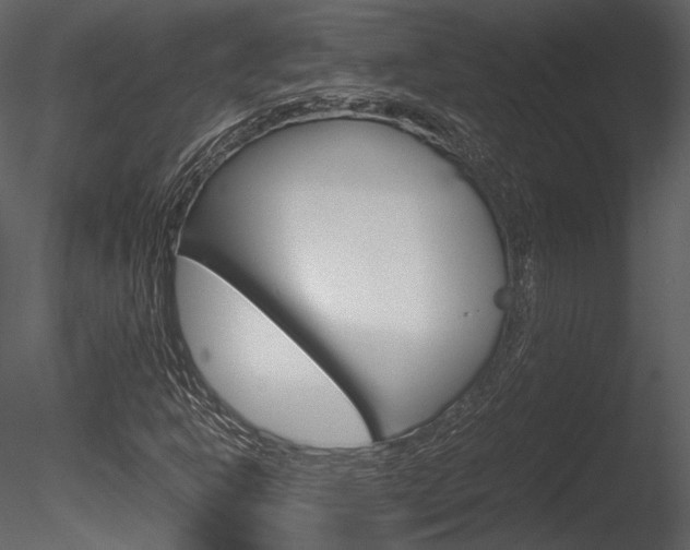 X0000085811302200703161018