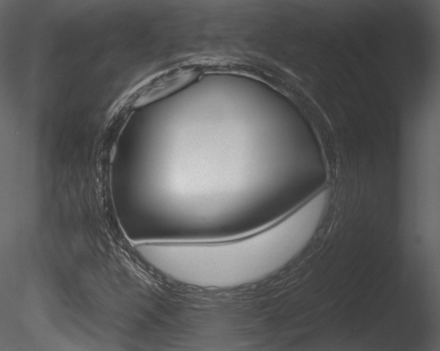 X0000085811304200703161018