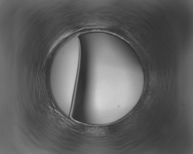 X0000085811307200703161018