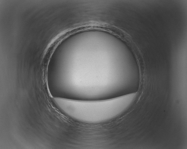 X0000085811310200703161018