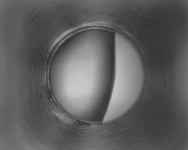 X0000085811316200703161018