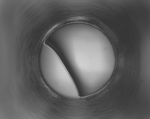 X0000085811321200703161018