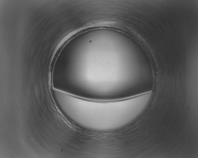 X0000085811324200703161018