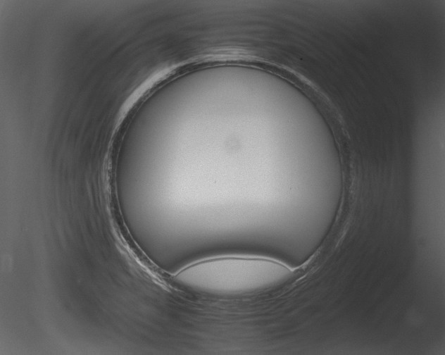 X0000085811325200703161018