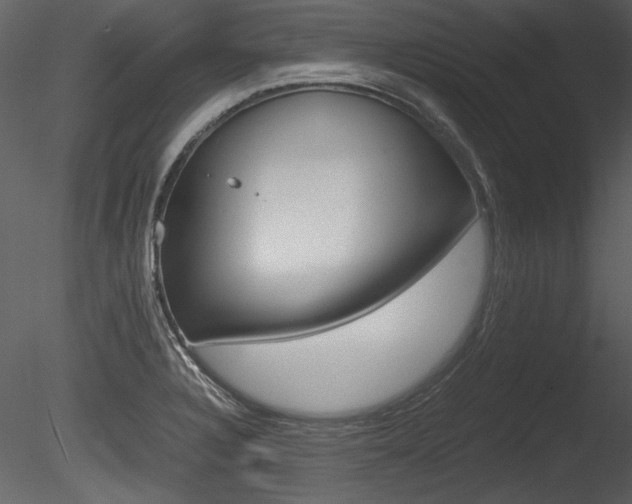 X0000085811328200703161018