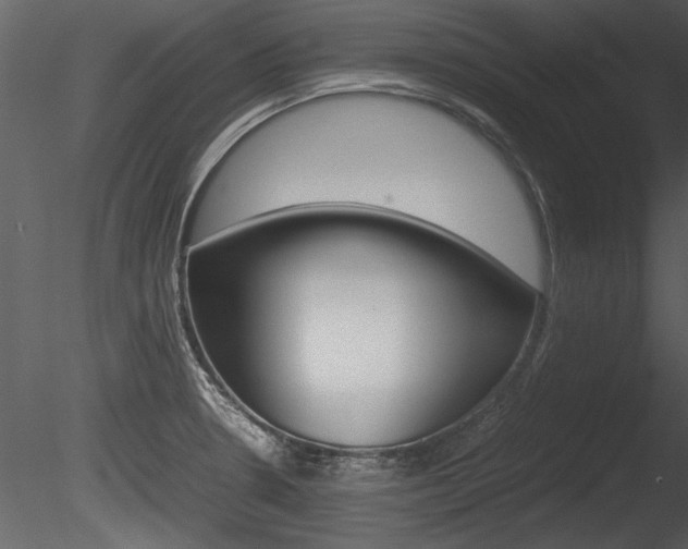 X0000085811330200703161018