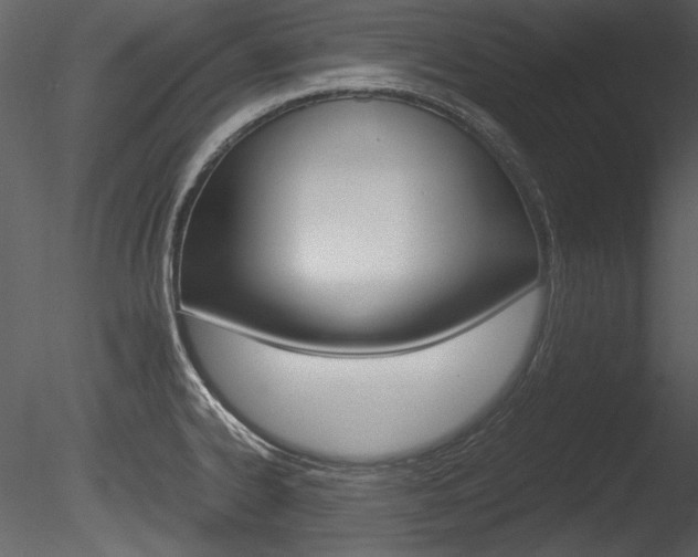 X0000085811334200703161018