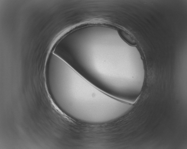 X0000085811335200703161018