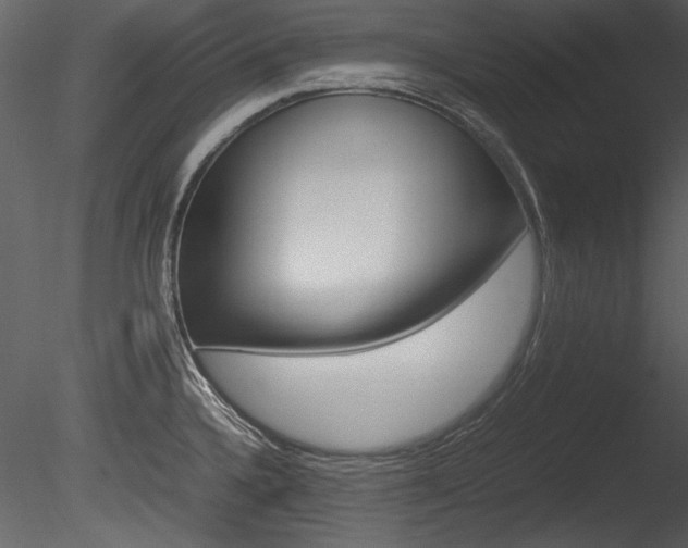X0000085811336200703161018
