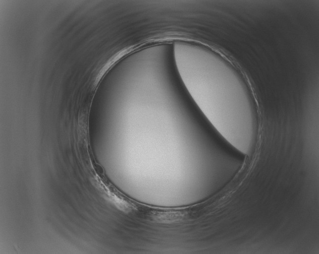 X0000085811337200703161018