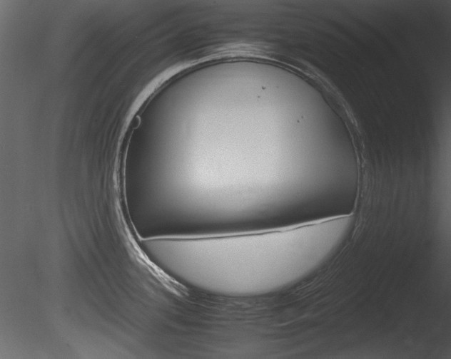 X0000085811339200703161018