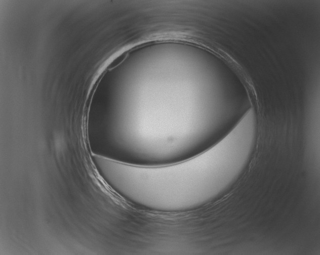 X0000085811340200703161018