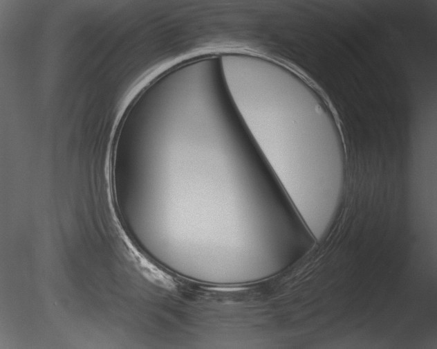 X0000085811343200703161018