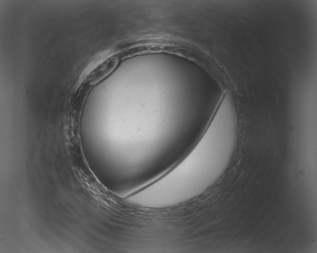 X0000085811352200703161017