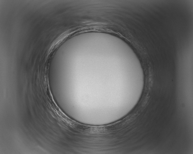 X0000085811354200703161017