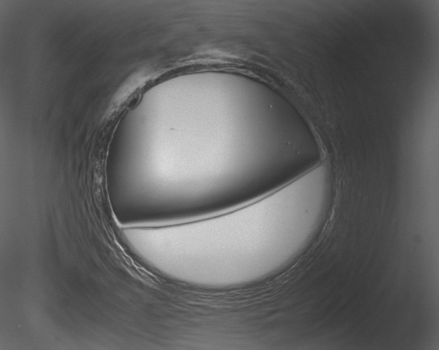 X0000085811355200703161017
