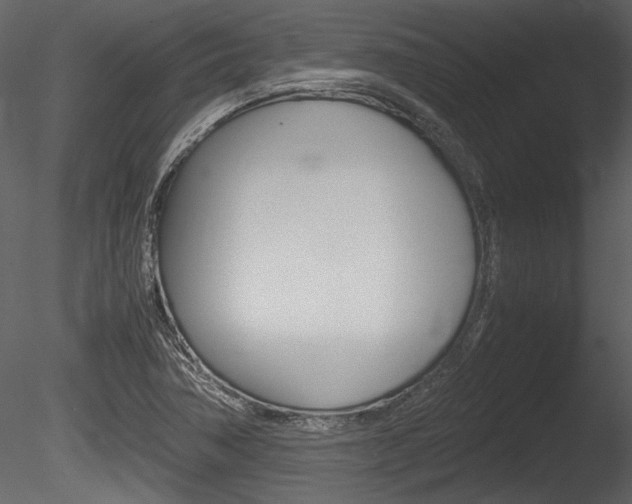 X0000085811362200703161017