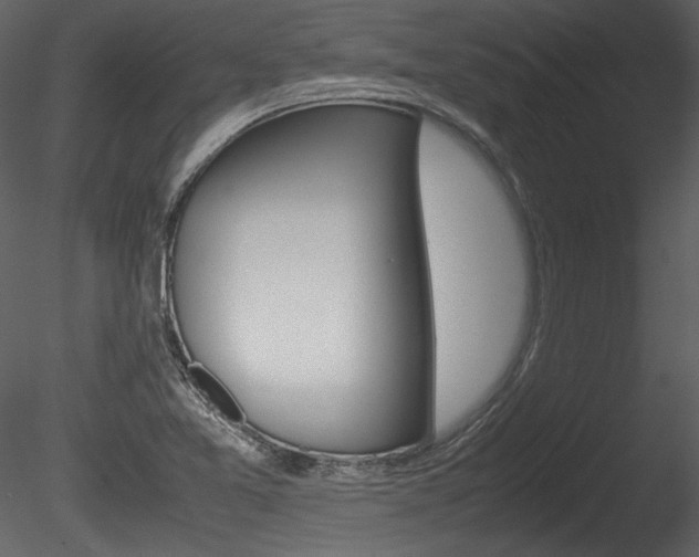 X0000085811365200703161017