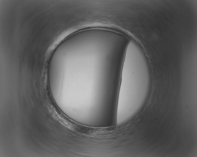 X0000085811367200703161017