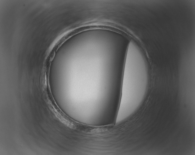 X0000085811368200703161017