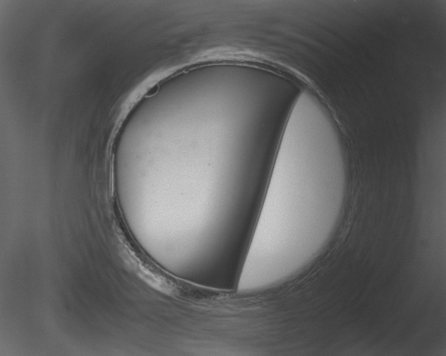 X0000085811371200703161017