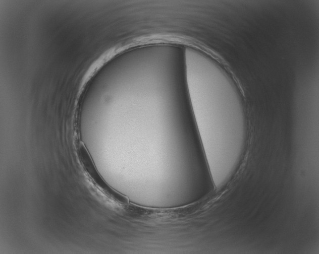 X0000085811373200703161017