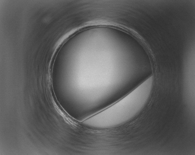 X0000085811380200703161017