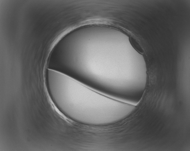 X0000085811383200703161017