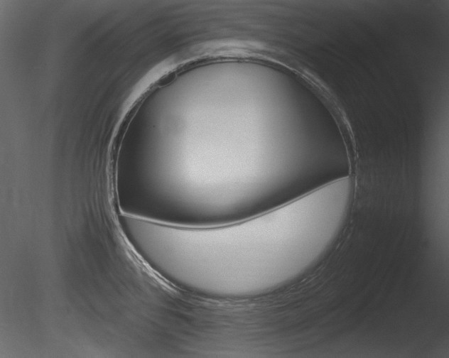 X0000085811384200703161017