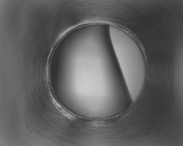 X0000085811388200703161017