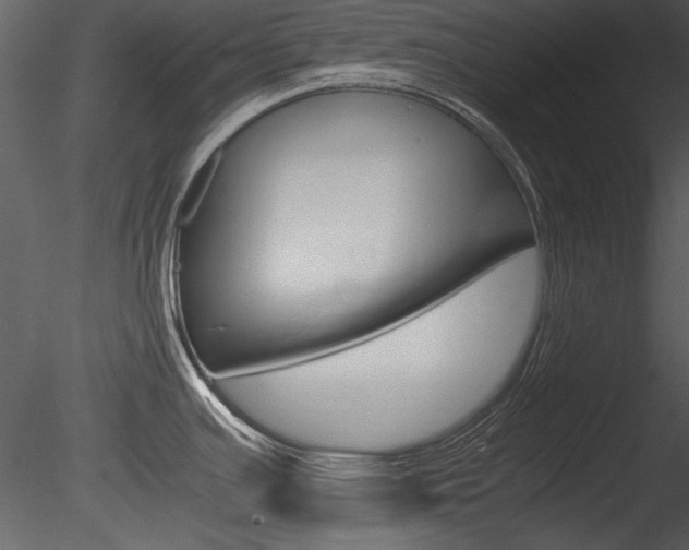 X0000085811391200703161017