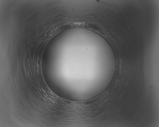 X0000085811394200703161016