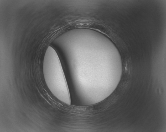 X0000085811396200703161016