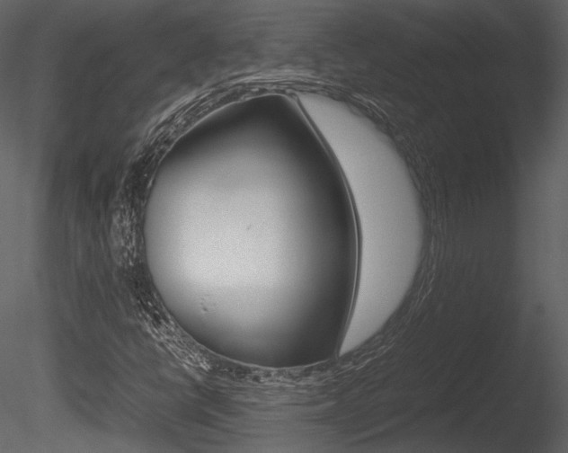 X0000085811398200703161016