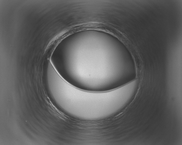 X0000085811402200703161016