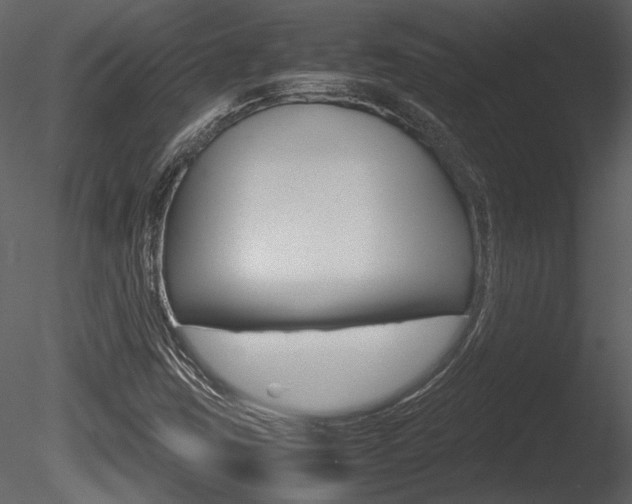 X0000085811403200703161016