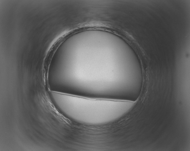 X0000085811408200703161016