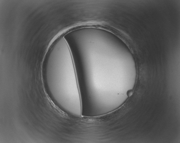 X0000085811412200703161016