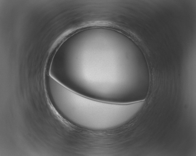 X0000085811422200703161016