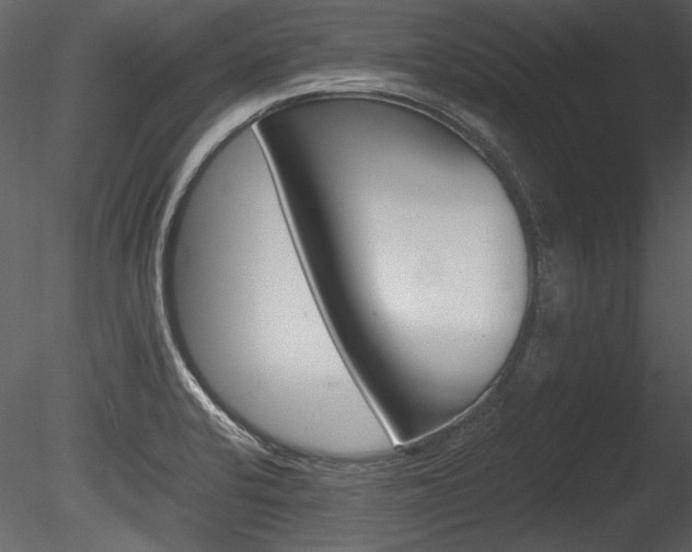 X0000085811424200703161017
