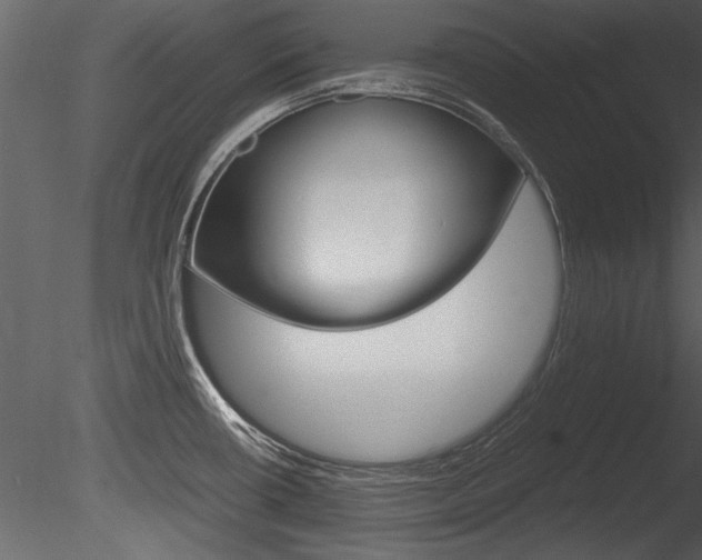 X0000085811434200703161017