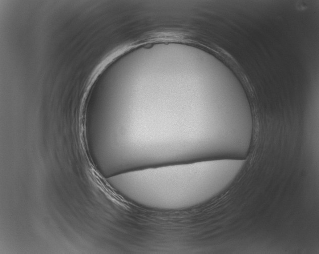 X0000085811435200703161017