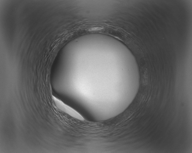 X0000085811441200703161016