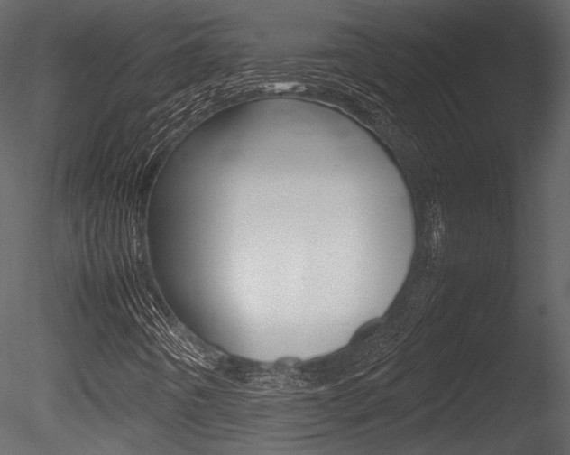 X0000085811442200703161016
