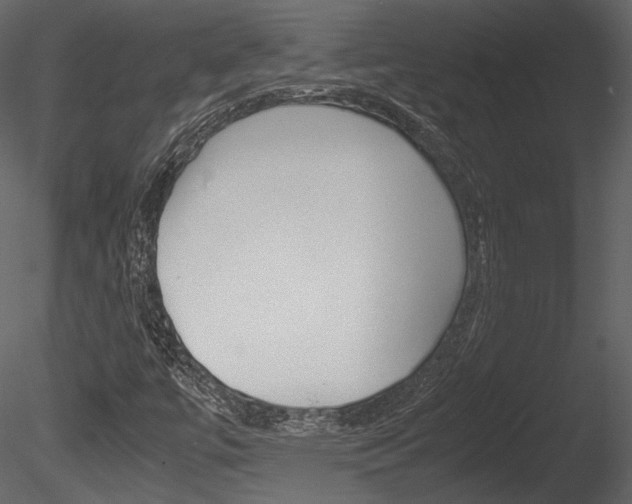 X0000085811447200703161016